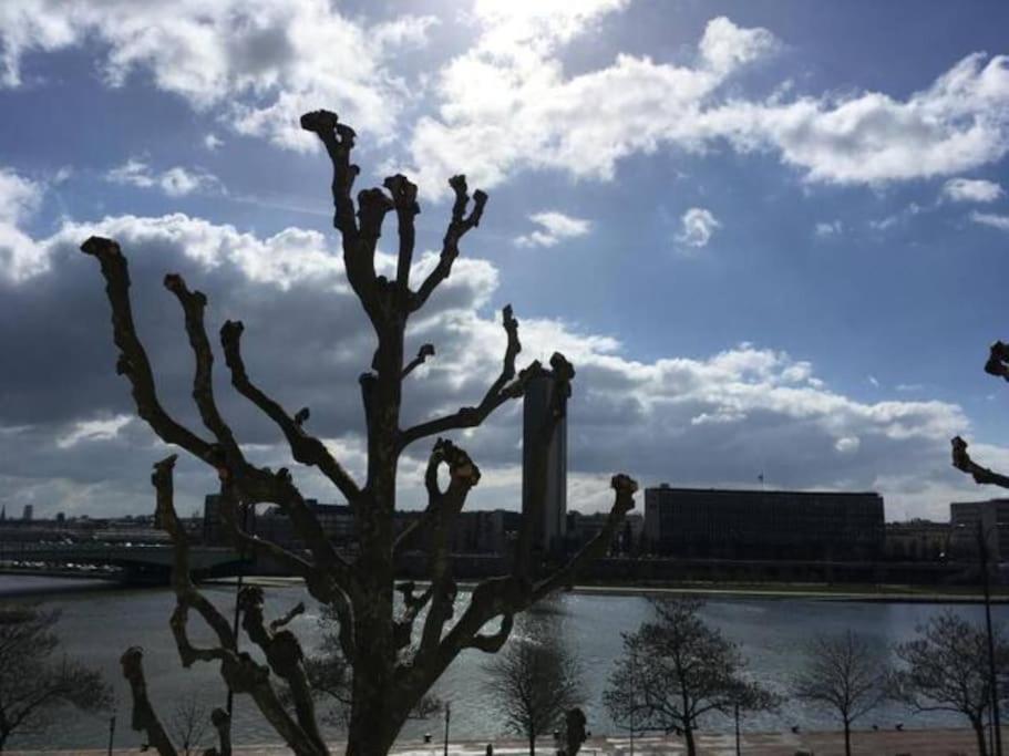 La Cathedrale - Vue Sur Seine Appartement Rouen Buitenkant foto